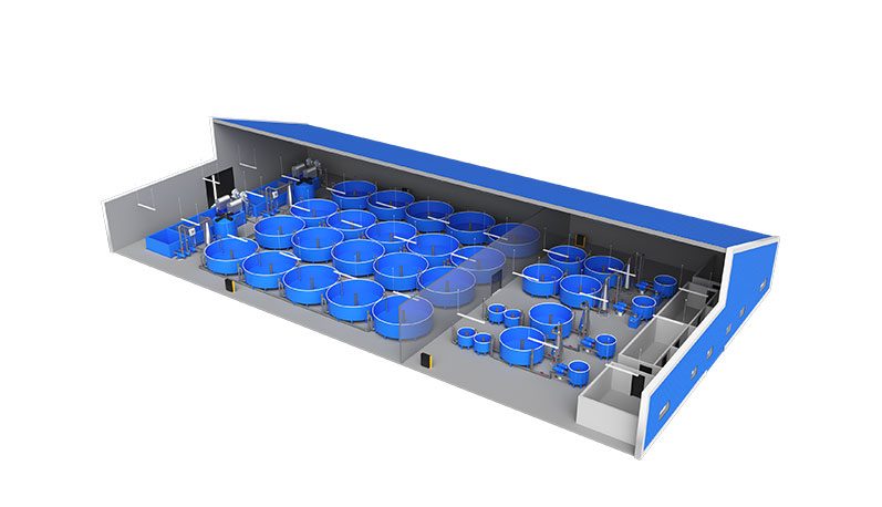 ФЕРМА С ПРОИЗВОДИТЕЛНОСТ 1000 КГ. ЕСЕТРОВ ХАЙВЕР