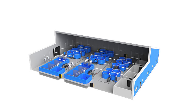 ФЕРМА ЗА АФРИКАНСКИ СОМ С ПРОИЗВОДИТЕЛНОСТ 100 ТОНА ГОДИШНО