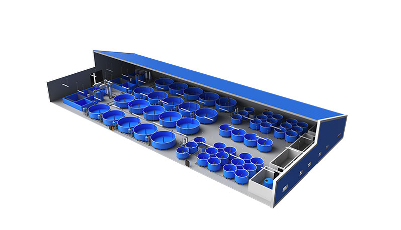 ЕСЕТРОВА ФЕРМА С ПРОИЗВОДИТЕЛНОСТ 50 ТОНА ГОДИШНО