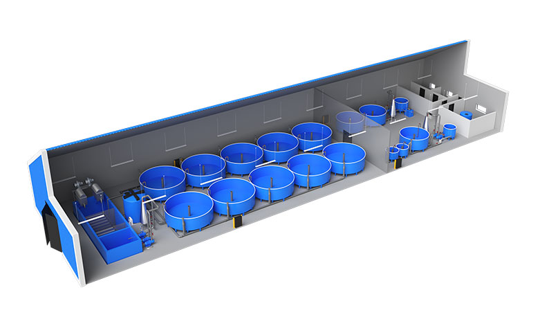 ФЕРМА С ПРОИЗВОДИТЕЛНОСТ 500 КГ. ЕСЕТРОВ ХАЙВЕР