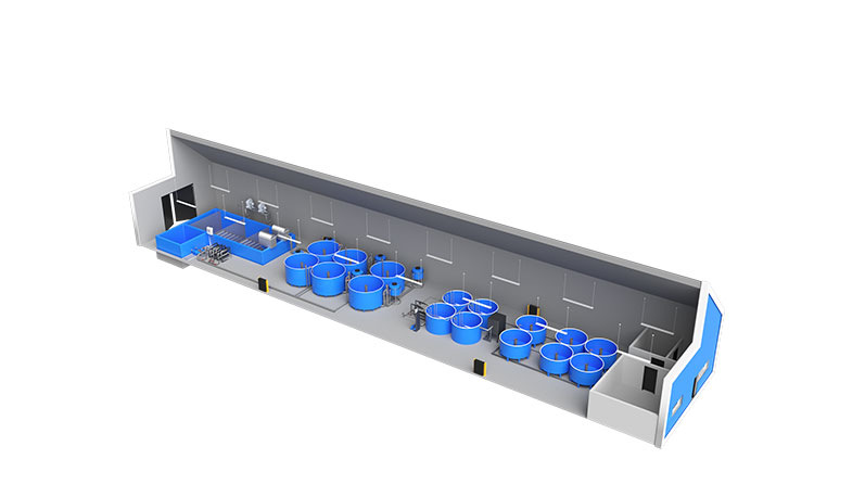 ФЕРМА ЗА АФРИКАНСКИ СОМ С ПРОИЗВОДИТЕЛНОСТ 50 ТОНА ГОДИШНО